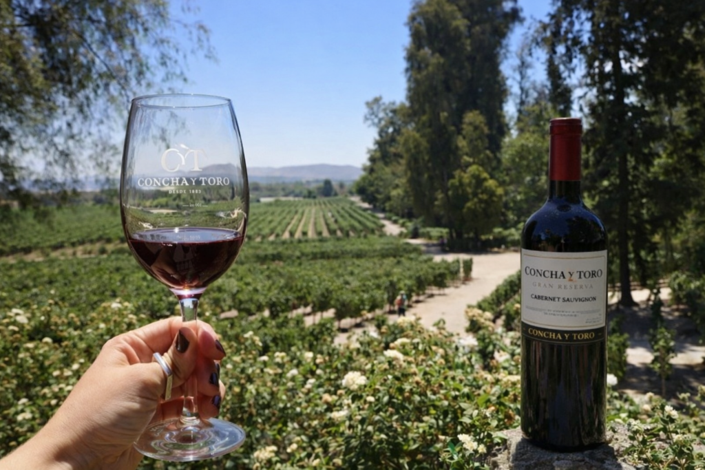Degustação de vinho na Vinícola Concha y Toro com vista para os vinhedos em Santiago do Chile